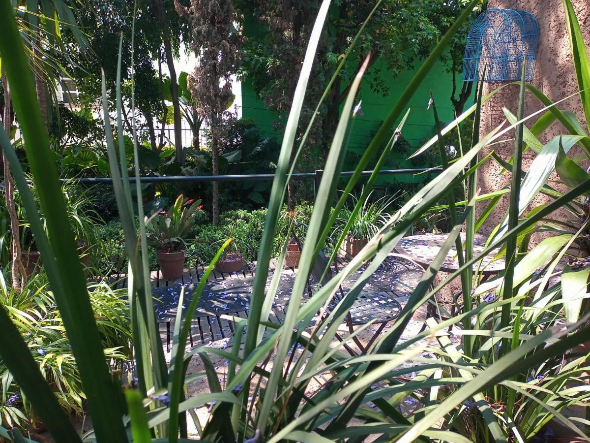 Suite 1-A Monasterio Garden House Welcome To San Angel Mexico by Eksteriør bilde