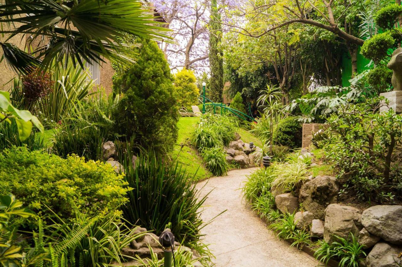 Suite 1-A Monasterio Garden House Welcome To San Angel Mexico by Eksteriør bilde